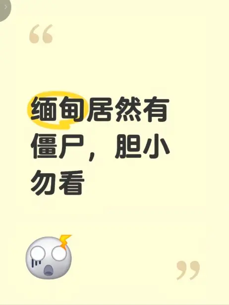 缅甸僵尸出土事件高清完整版视频在线播放 - 现场全程录像揭秘缅北神秘事件真相 - 无删减免费观看