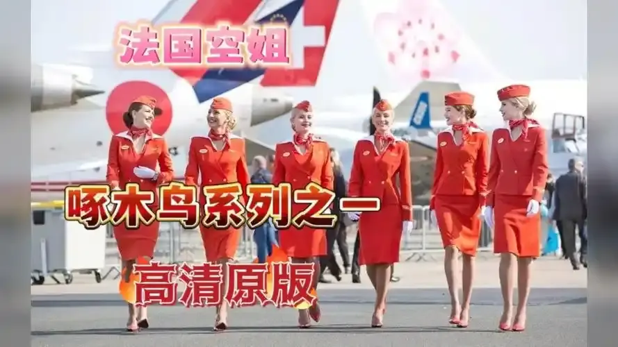 《法国空姐4》资源下载-法国空姐系列全集含2019满天星法版-高清完整版免费在线观看