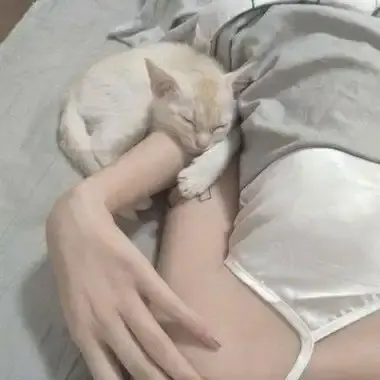 《森泽佳奈》高清全集未删减中文版免费在线观看-无广告网盘下载-森泽佳奈年度现象级作品全集珍藏版